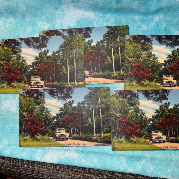 485-AMT Ten (10) New 1940’s Postcard Everglades National Park Florida - Picture 5 of 5